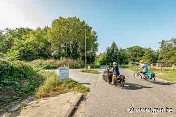 Online petitie kaart kaalslag aan: “Stop de bomenkap aan Oude Antwerpsebaan, het is een ramp voor de natuur” - Gazet van Antwerpen