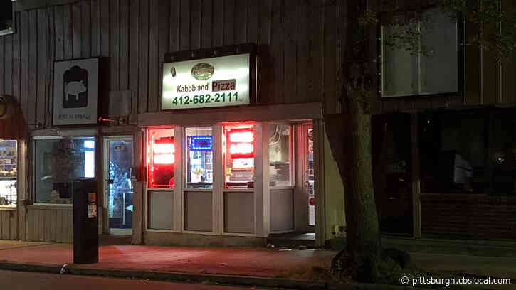 Consumer Alert Issued For Potenza Pizza After Health Dept. Finds Building ‘Infested With Flies’
