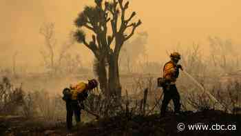 California wildfire threatens more than 1,000 homes