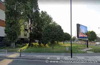 Greenwich Council backflip on Rose Garden sale welcomed