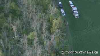 Young girl dies after horseback riding accident in Hamilton, Ont.