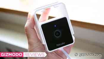 This Budget Pet Camera Is Perfect for Neurotic Pet Owners