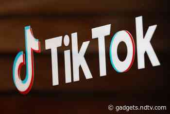 TikTok Proposes Social Media Coalition to Curb Harmful Content