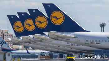 Lufthansa streicht noch mehr Flieger und Jobs wegen Corona-Krise - BILD