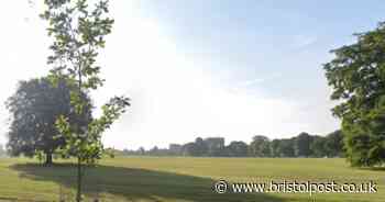 The Downs could be getting its very own playground