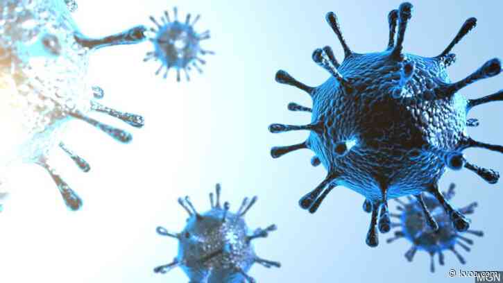BREAKING: US death toll from coronavirus hits 200,000
