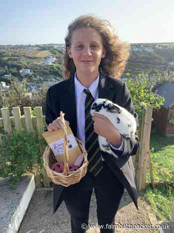 How lockdown turned this Year 8 student into an entrepreneur - Falmouth Packet
