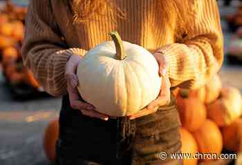 CDC says no to trick-or-treating, holiday travel