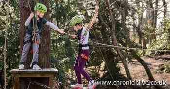 Popular Durham adventure park closes for good due to impact of Covid-19