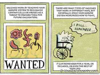 Comics from U of S team illustrate vaccine creation process