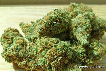 Adrano. Ancora “erba” in tasca, 27enne segnalato alla Prefettura — YVII 24 - Yvii24.it