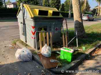 Mirandola, incuria in città tra erba alta e rifiuti - SulPanaro | News - SulPanaro