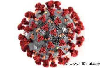 Descubren una secuela generalizada del coronavirus: fatiga persistente - El Litoral