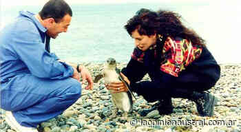Nacha Guevara recordó el rescate de pingüinos empetrolados en Caleta Olivia - La Opinión Austral
