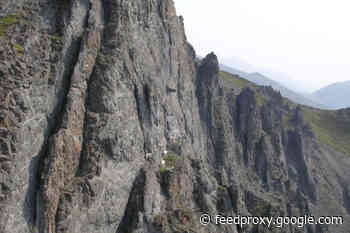 Massive Volcanic Eruptions Might Have Opened the Door for the Rise of Dinosaurs