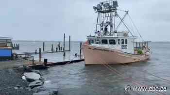 Nova Scotians in high-risk areas encouraged to get out of Teddy's path