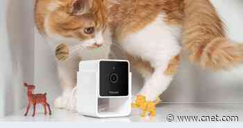 You won't find a cheaper pet camera than the Petcube, now $36     - CNET