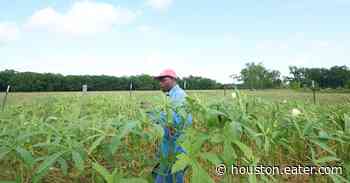 As the 2020 Election Approaches, Houston-Area Farmers Are Getting Political - Eater Houston