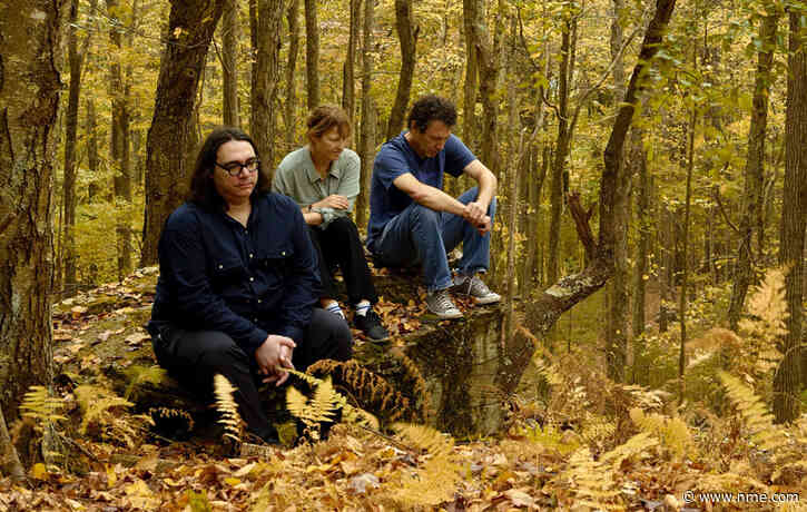 Yo La Tengo share dreamy new single ‘Bleeding’