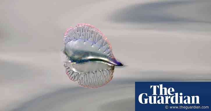 10 years of the British Wildlife Photography awards – in pictures