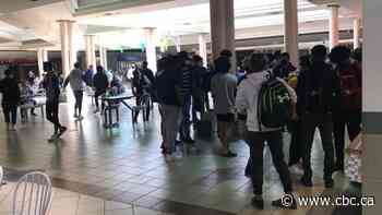 Seniors alarmed by daily rush of teens at Market Mall food court over noon hour