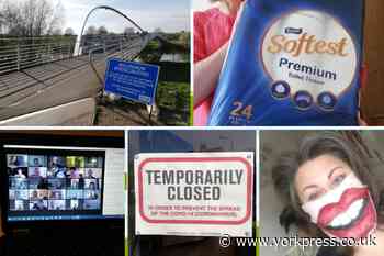 Send us the photo that best sums up lockdown for you