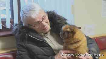 York woman and her much-loved pet dog appear on TV's The Yorkshire Vet