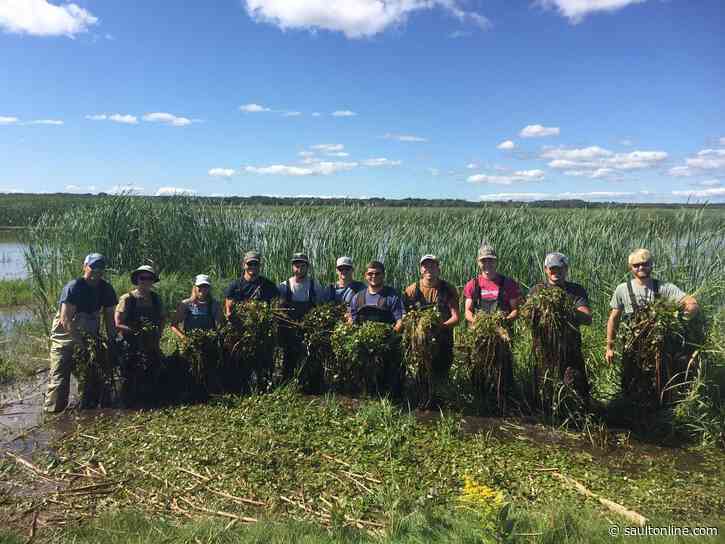 LSSU’s Fisheries and Wildlife Club Again Named Outstanding Student Subunit by American Fisheries Society
