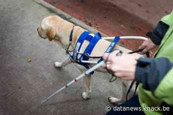 Websites van overheidsdiensten onvoldoende toegankelijk voor mensen met beperking
