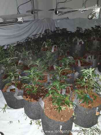 £162k worth of cannabis found in Clayton-le-Moors pub