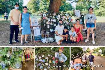 Pop-up face mask trees spotted in Sutton and Merton