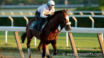Tiz the Law, Belmont Stakes winner, won't run in Preakness Stakes
