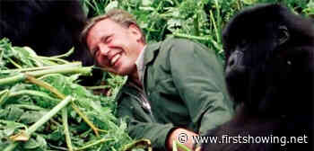 Official Trailer for 'David Attenborough: A Life on Our Planet' Doc Film