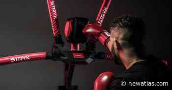 Punching robot designed for mixed martial arts training - New Atlas