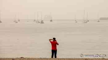 Wildfire smoke is beneficial to B.C.'s coastal waters, oceanographer says