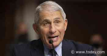 ‘You are not listening,’ Fauci tells Sen. Rand Paul at coronavirus hearing