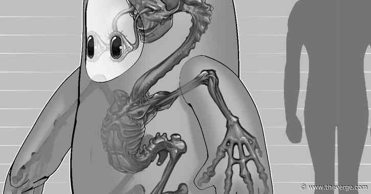 Why does the Fall Guy have hidden abs and nipples?