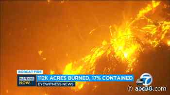 Bobcat Fire: SCE utility equipment eyed as possible source of blaze in San Gabriel Mountains