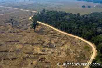 Brazil's meat giant JBS launches anti-deforestation plan