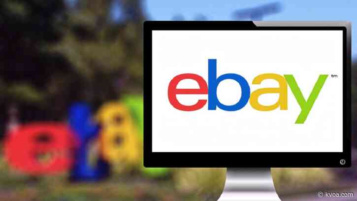 eBay workers plead guilty to sending live spiders, cockroaches to couple