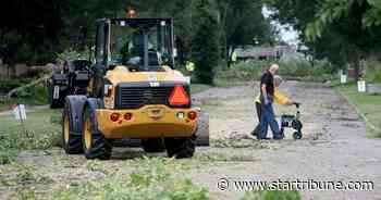 St. Paul will cut down thousands of ash trees next year but can't afford replanting