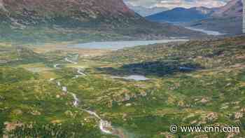 Grizzly bear mauled and killed hunter in first-of-its-kind attack