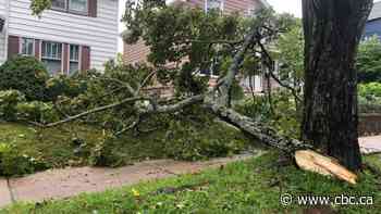 Post-tropical storm Teddy hits Nova Scotia without lasting damage
