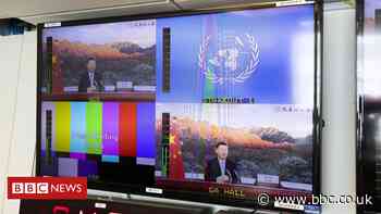 Climate change: China aims for 'carbon neutrality by 2060'