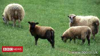 Why do farmers get paid by taxpayers?