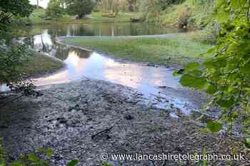 'Save our lake' - plea for £10,000 to save Bold Venture Park's Grade II listed centrepiece