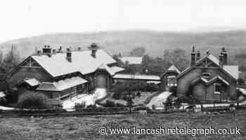 Bull Hill - when babies could be Darreners born and bred!