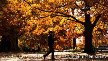 Toronto residents can expect a warmer than usual fall season - CTV Toronto