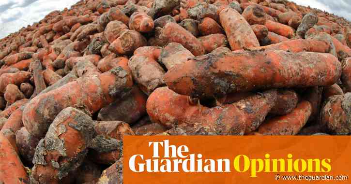 It's time to get serious about food waste in fight against global heating | Dave Lewis