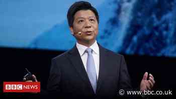 Huawei: 'Survival is the goal' as it stockpiles chips